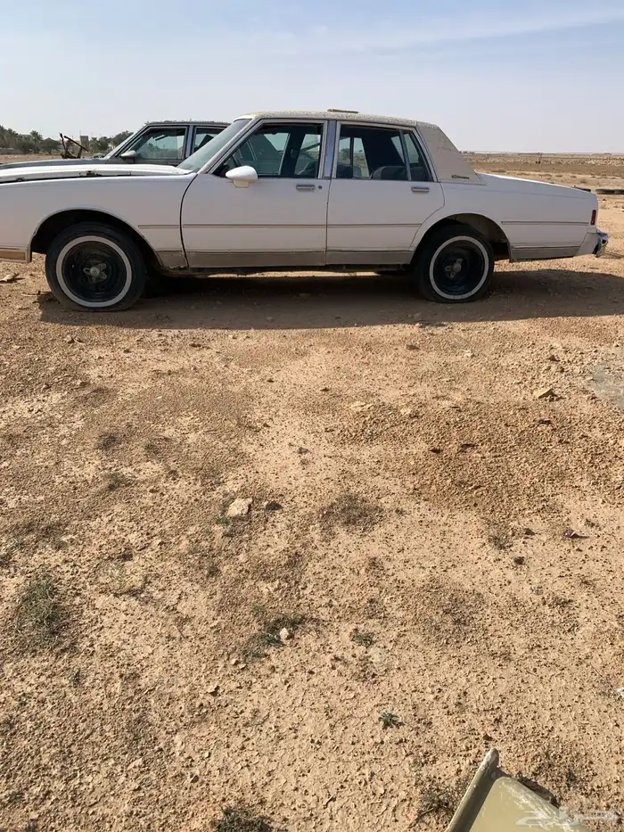 كابرس عدد 2 3