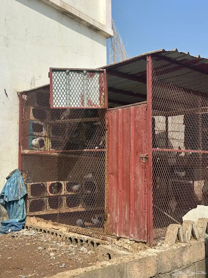 شبك حمام 4في3 4