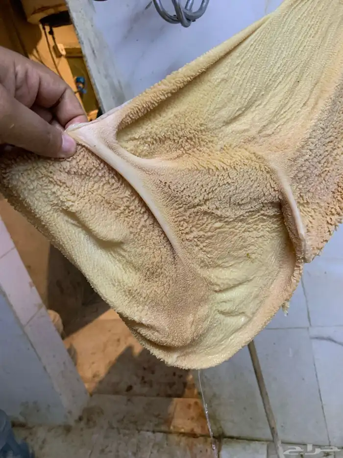 10 خرفان جذعان نعيمي فل شحم 3