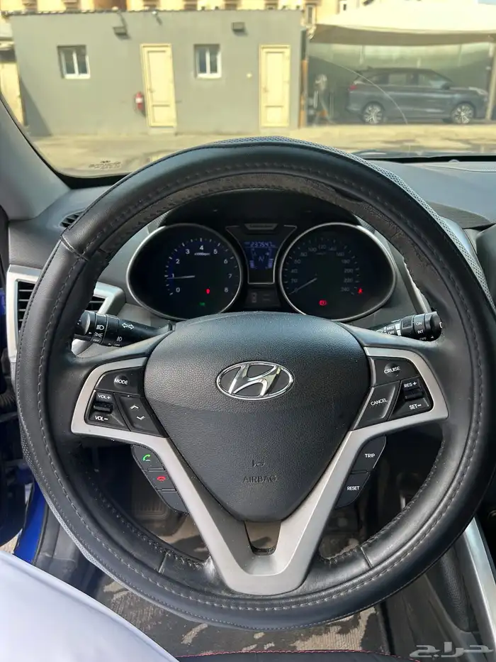 فيلوستر 2015 10