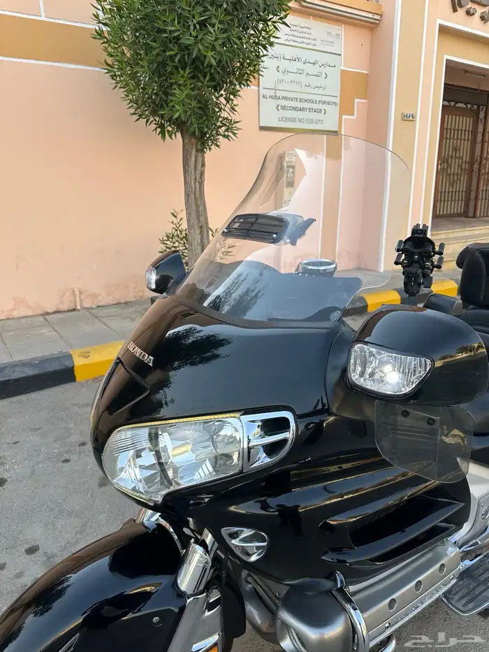 قولد وينق 17