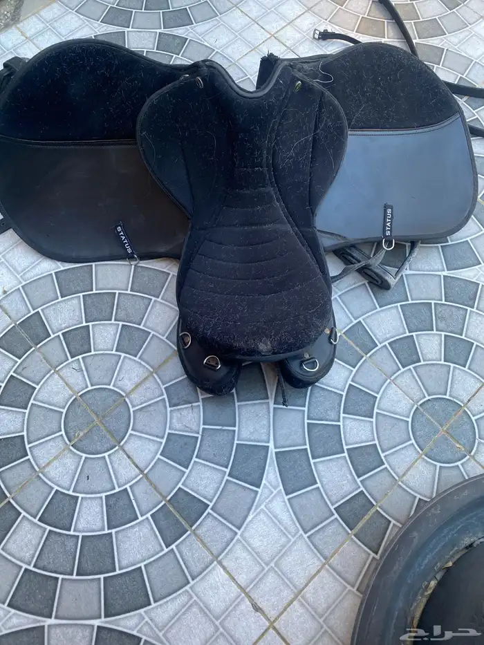 سرج ولجام ستيتوس نظيفه 0