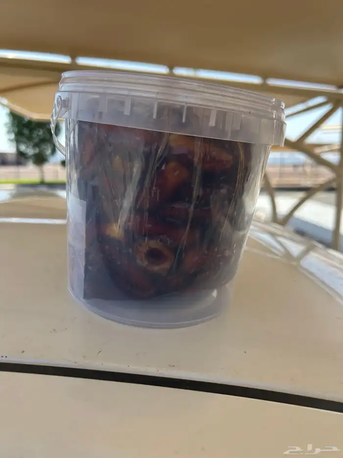 تمر 3 انواع من مزارع حايل 0