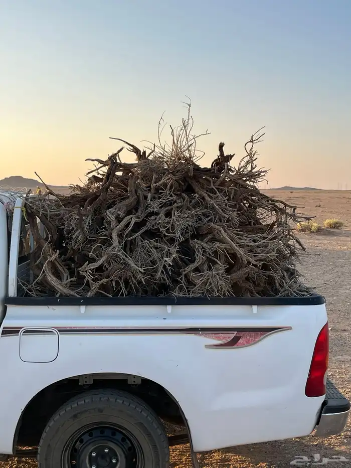 للبيع حملة غمارتين لتنده 0