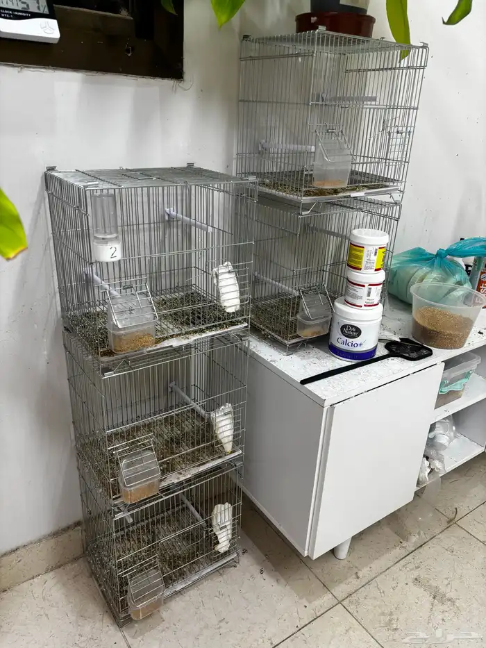 اقفاص كناري فردي للبيع. 1