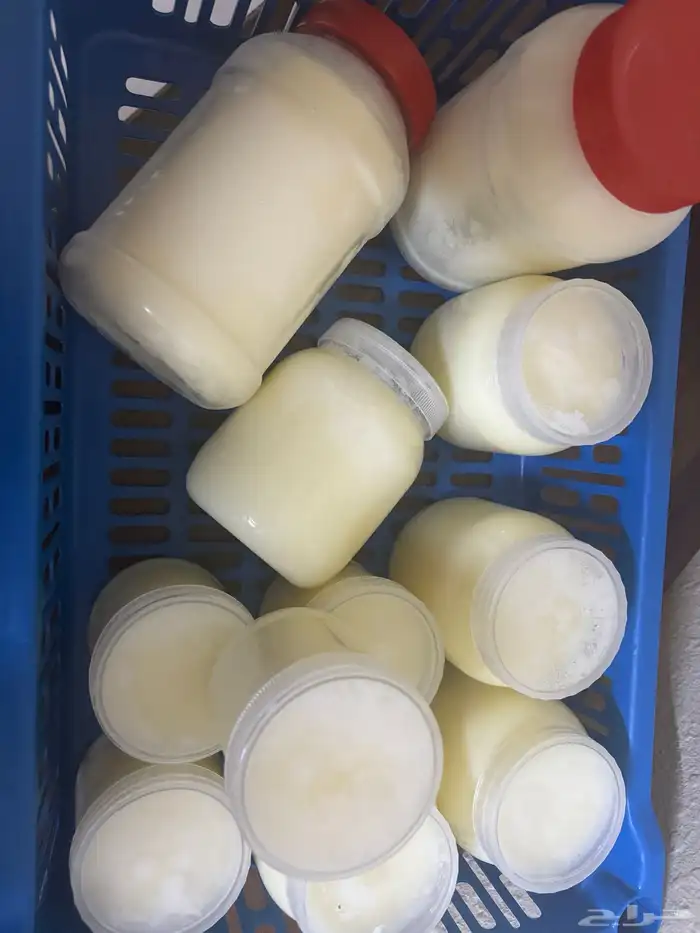 زبدة غنم طبيعيه 100  على الضمان الذهبي 3