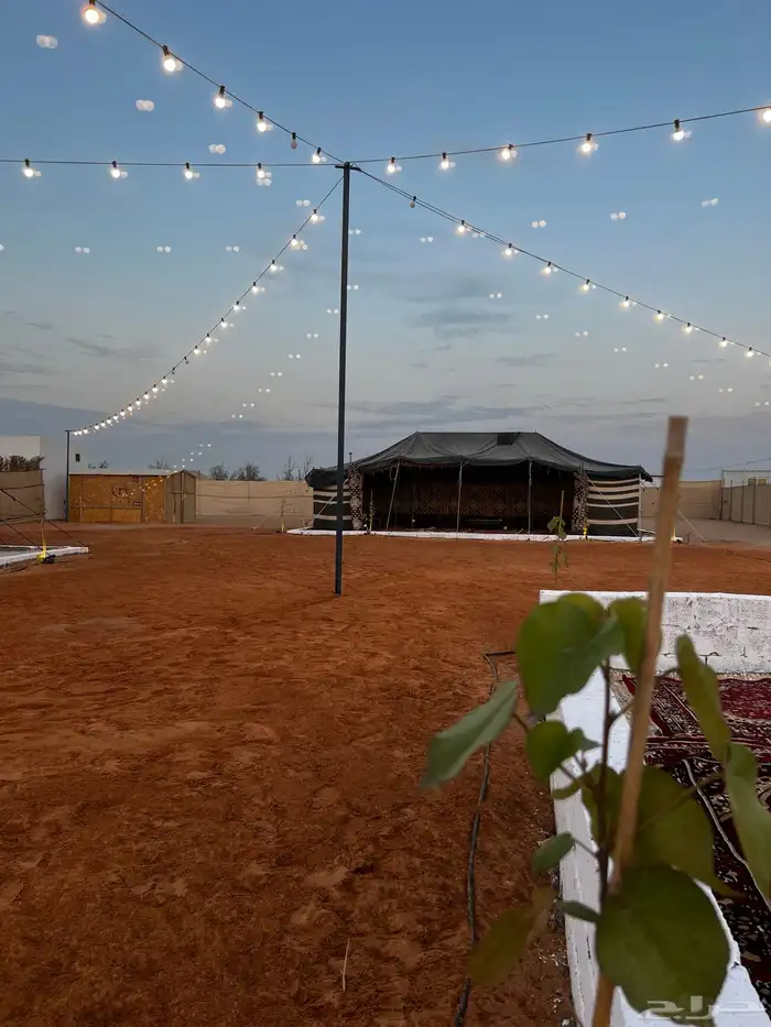 مخيم نواه للأيجار اليومي 16