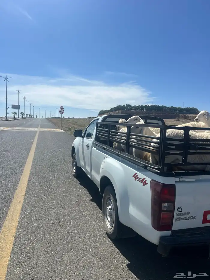 ازيزو للبيع 2