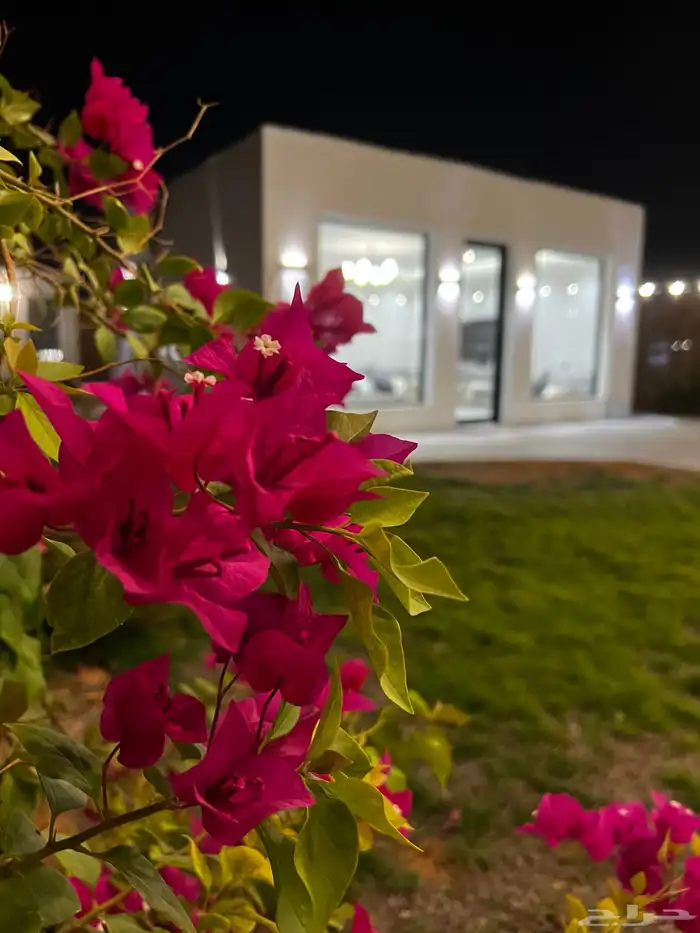 مخيم نواه للأيجار اليومي 1