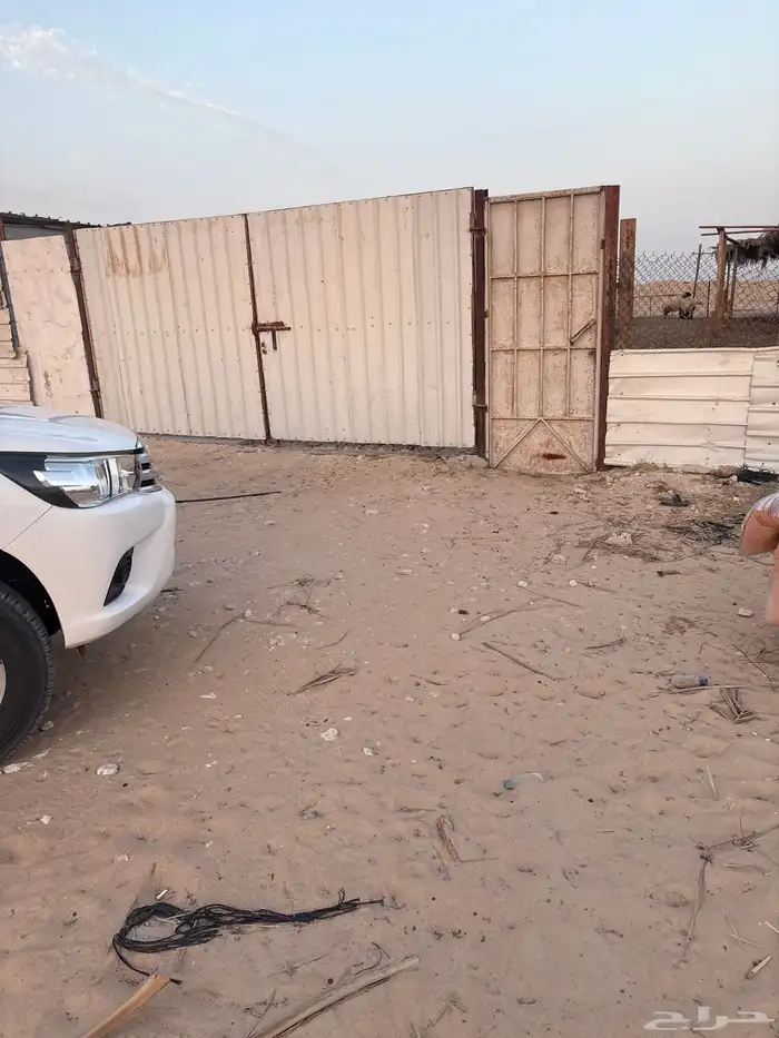 عزبه شمال سوق الغنم بالاحساء 8