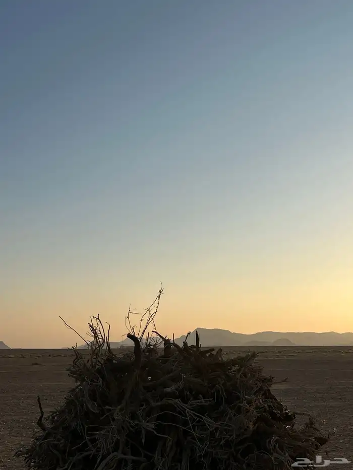 للبيع حملة غمارتين لتنده 1