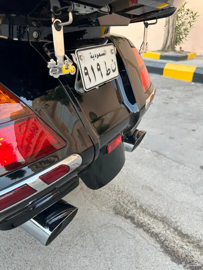 قولد وينق 19