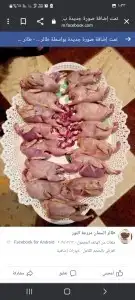 ديوك بلدي نظيفه تختار بفسك ويذبح امامك 3