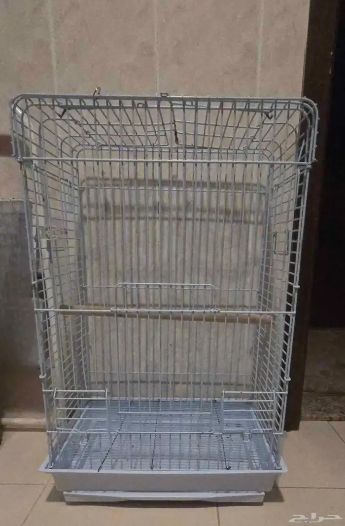 للبيع قفص كبير طيور ببغاء كاسكو- امازوني- مكاو 2