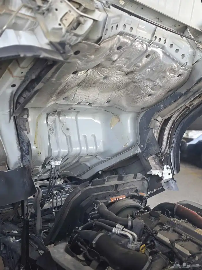 دينه 2020 وكاله شرط 2