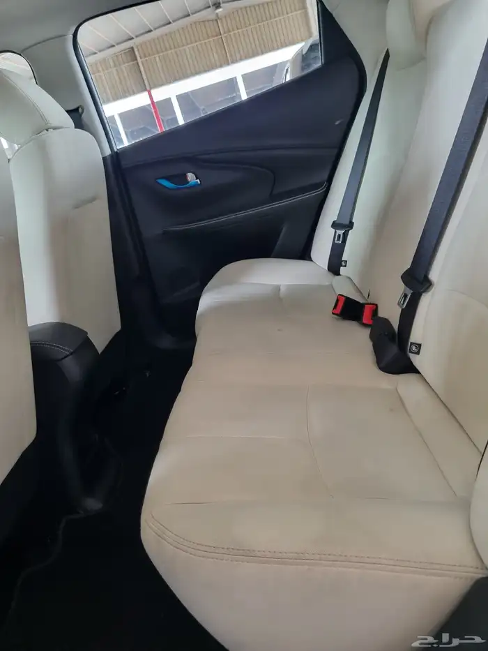 شنجان السفن 2025 5