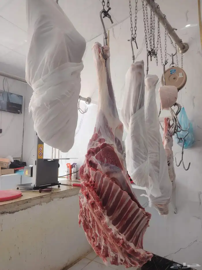 محمد جزار من مصر مقيم بالسعودية ببحث عن أي عمل في اي ملحمه 1