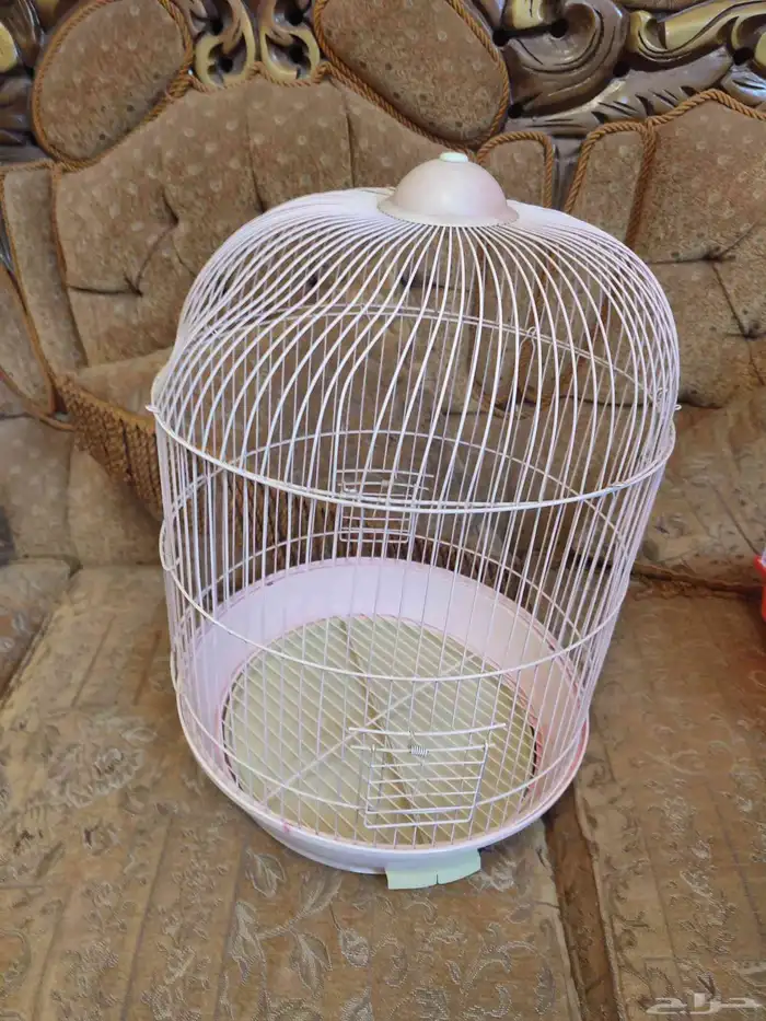 قفص - اقفاص - طيور زينة 9