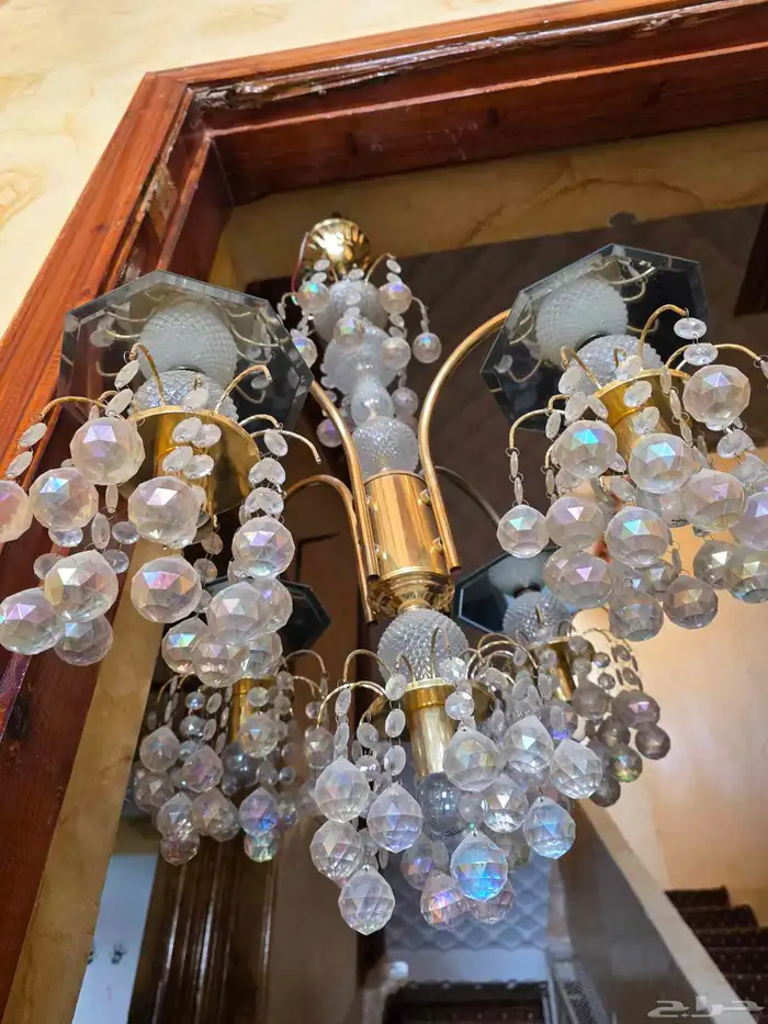 نجفتين للبيع 0