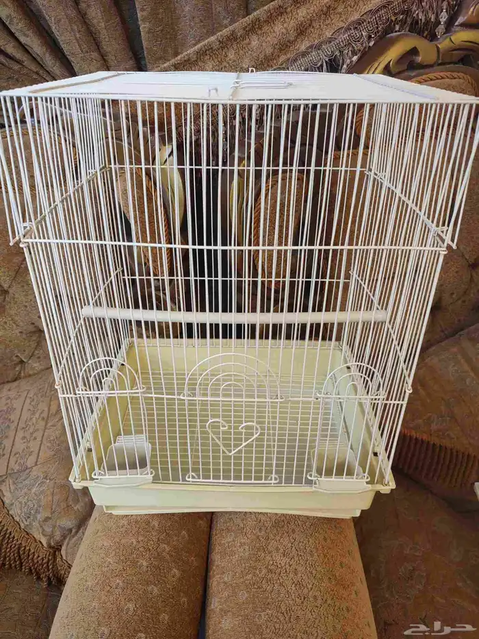 قفص - اقفاص - طيور زينة 7