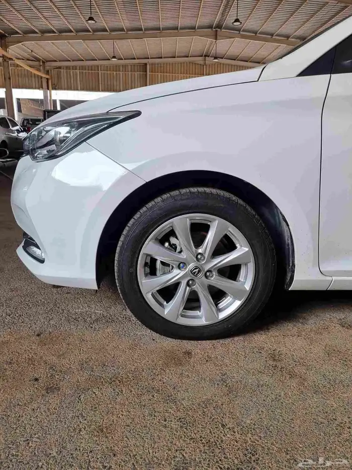 شنجان السفن 2025 2