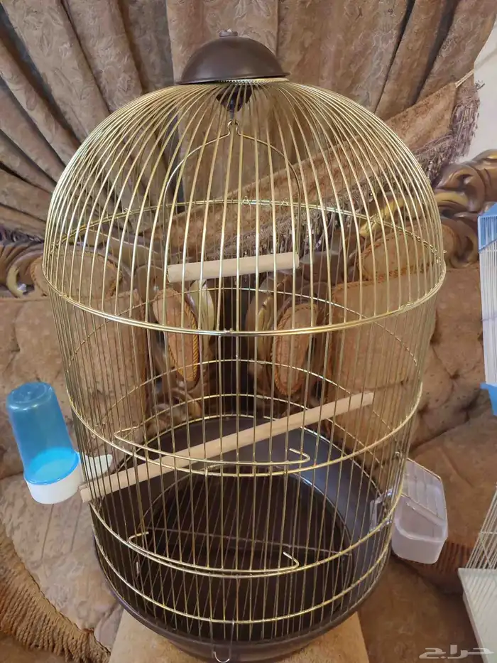 قفص - اقفاص - طيور زينه 0