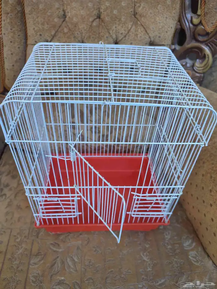 قفص - اقفاص - طيور زينة 10