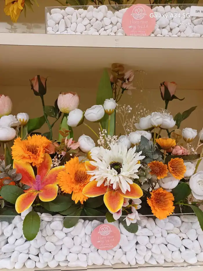 كوش مدخل عربات ملكه شاشات ترحيبيه مدخل استقبال مواليد توزيعا 7