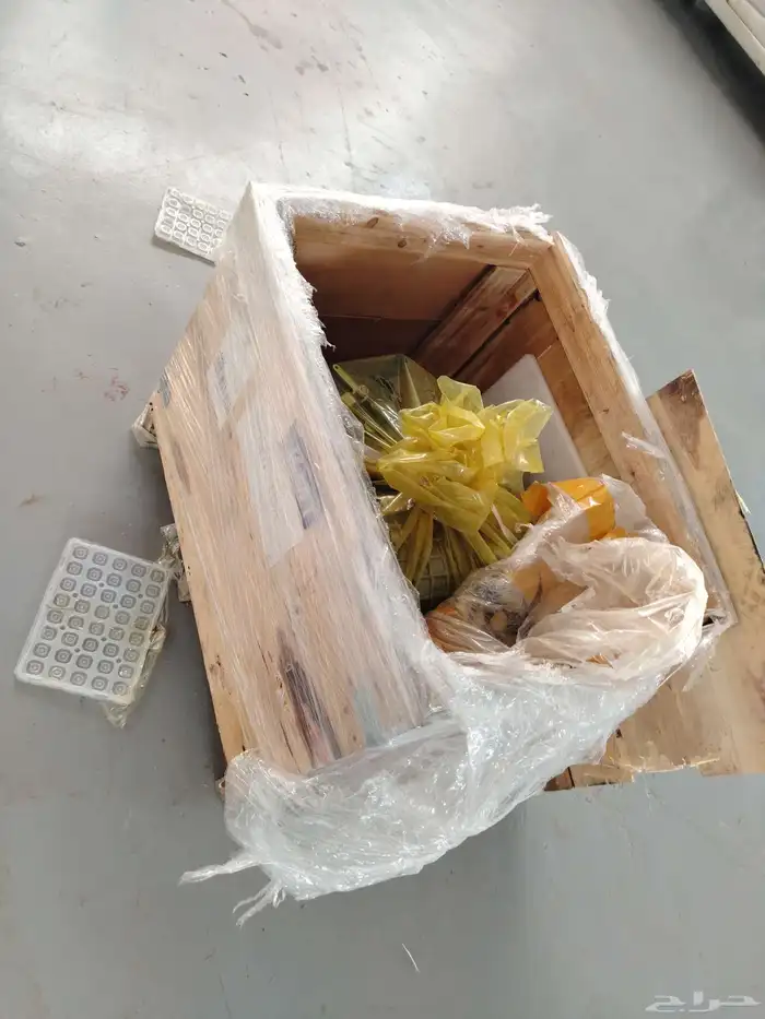 قير شيري تيقو 7 وتيقو 5 1