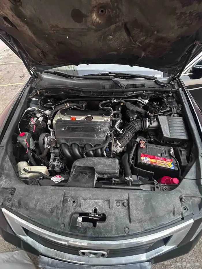 اكورد 2010 نضيف 11