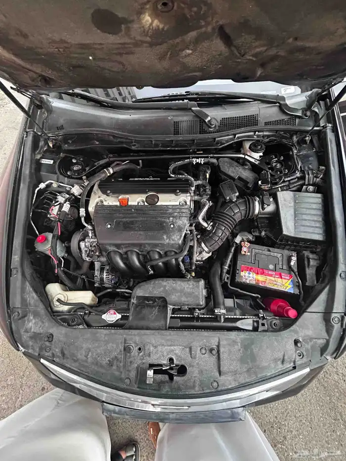 اكورد 2010 نضيف 7