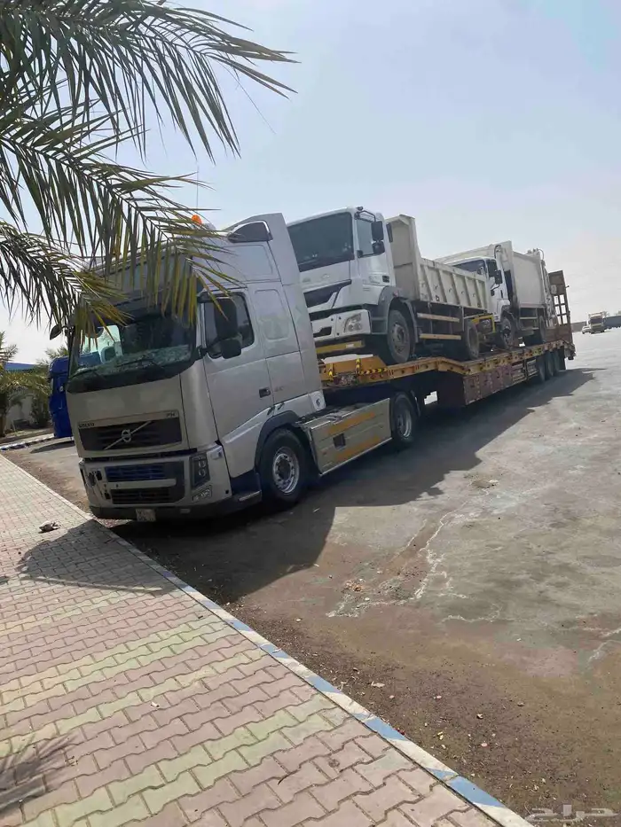 لوبد متواجد في الرياض 0