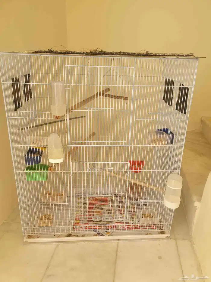 قفص مطير للبيع 1