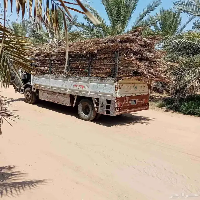 عسيب للبيع مع التوصيل 2