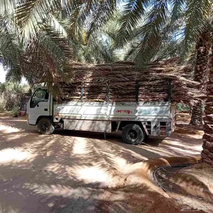 عسيب للبيع مع التوصيل 1