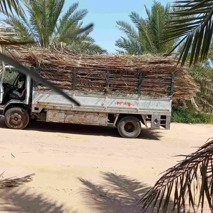 عسيب للبيع مع التوصيل 3