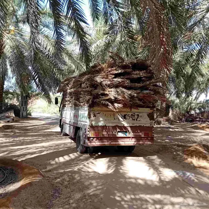 عسيب للبيع مع التوصيل 0