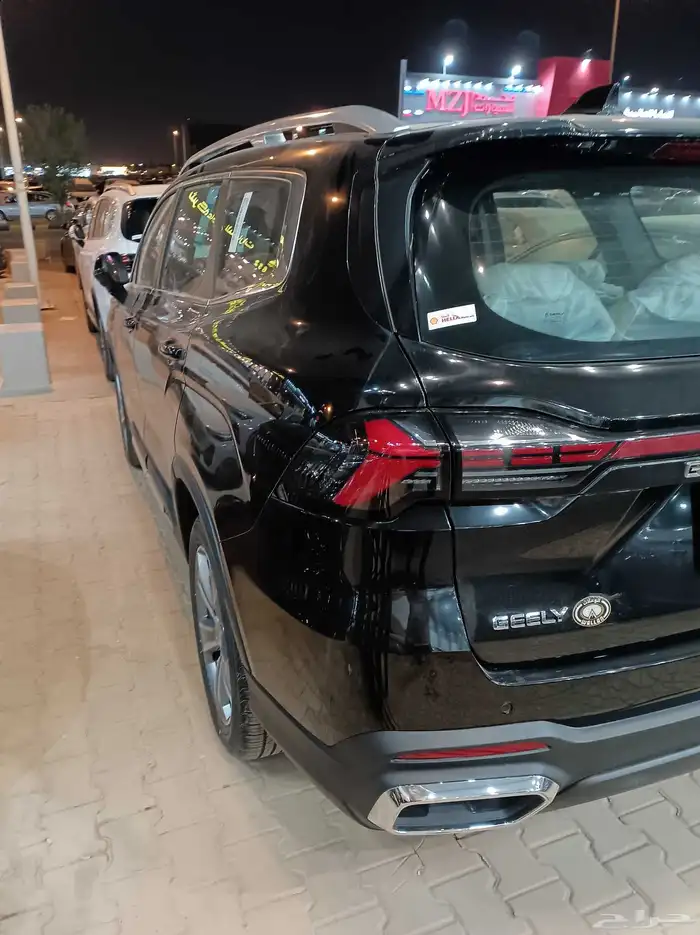 جيلي اوكافانجو 2025 9