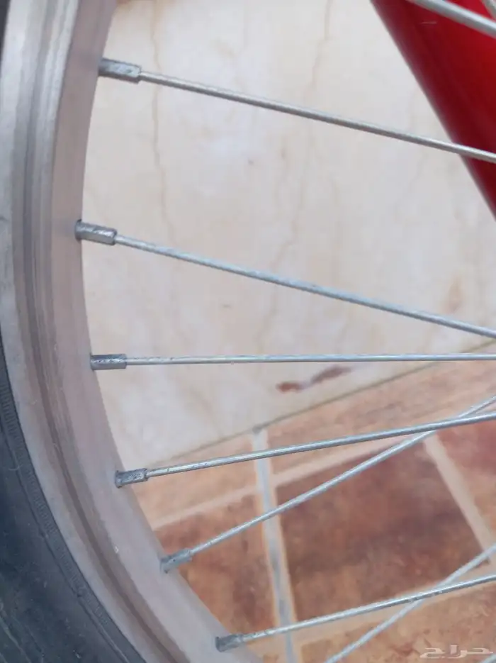 سيكل رامبو مقاس 20 لون احمر 6