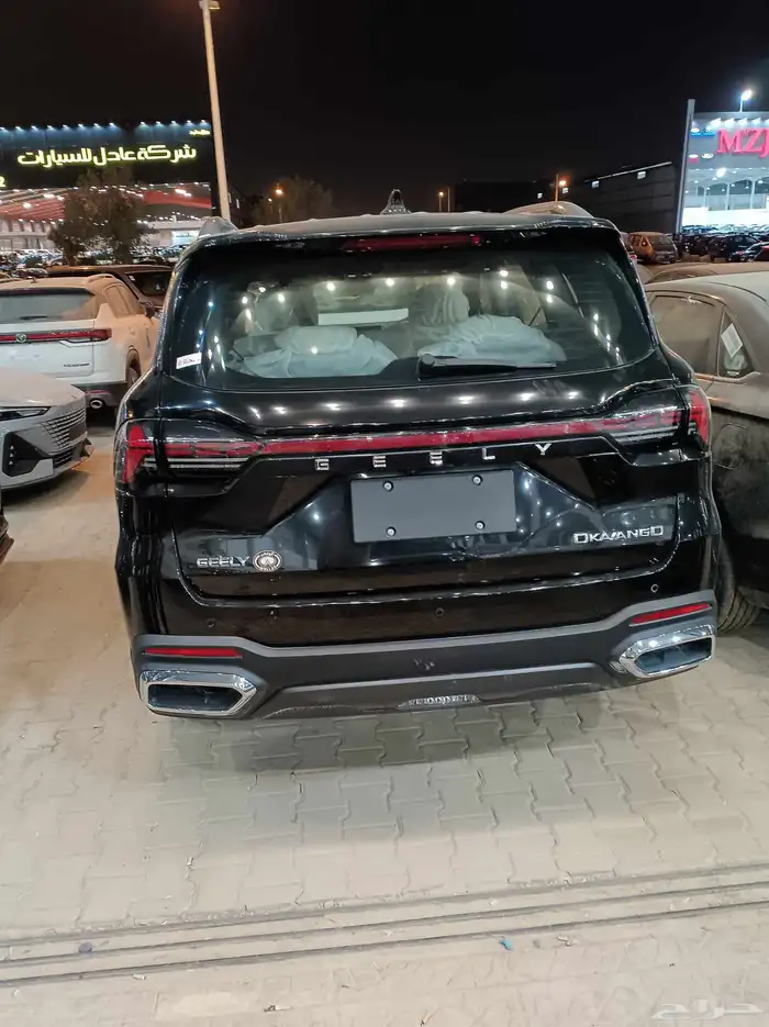 جيلي اوكافانجو 2025 8