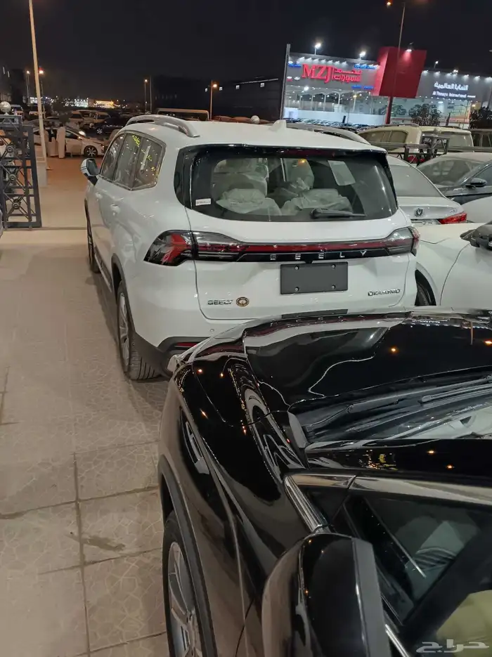 جيلي اوكافانجو 2025 1