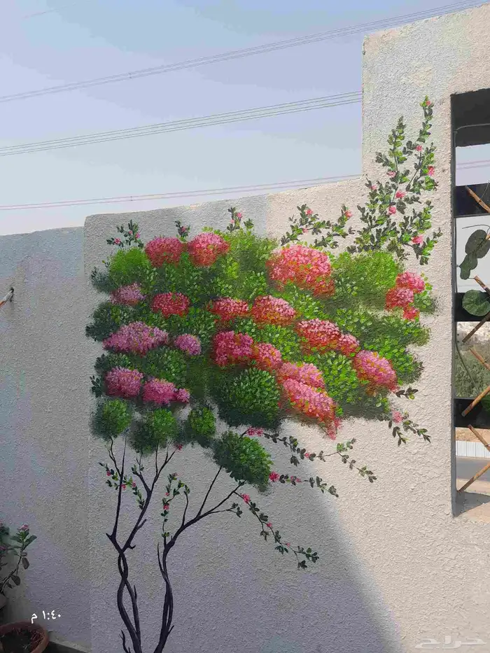 رسام جدران جدة 2