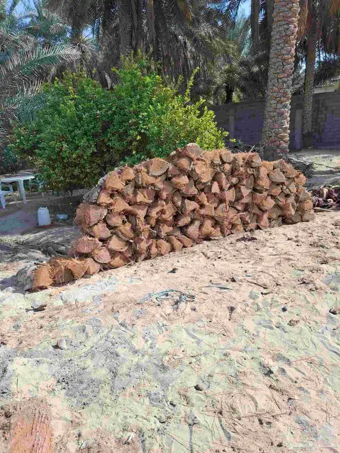 جذوع نخل للبيع 0
