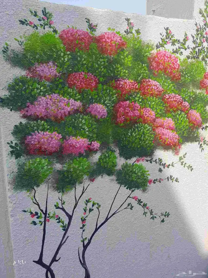رسام جدران جدة 3
