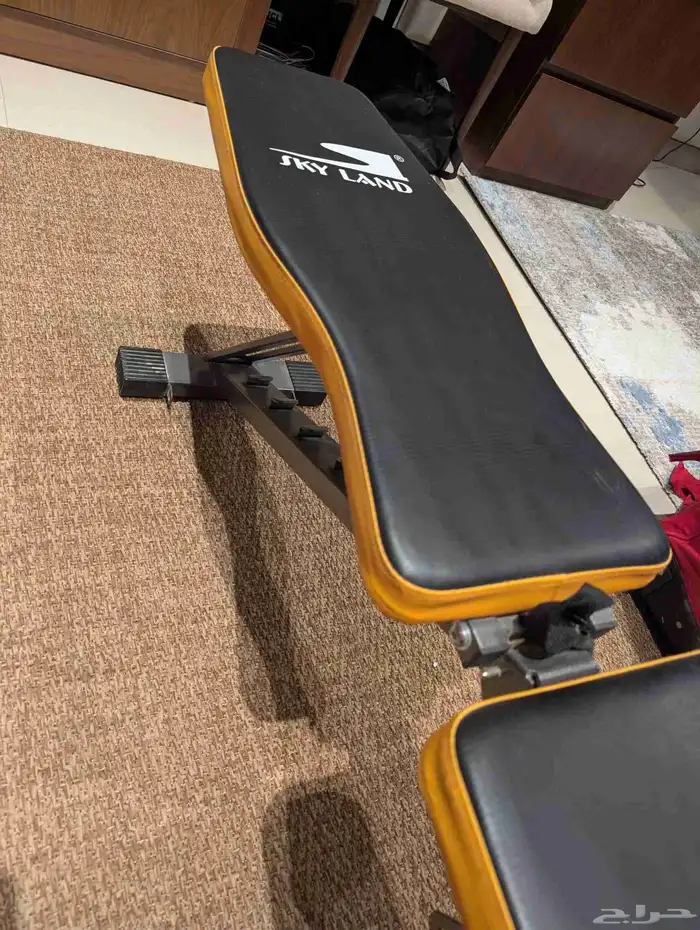 weight bench workout 2