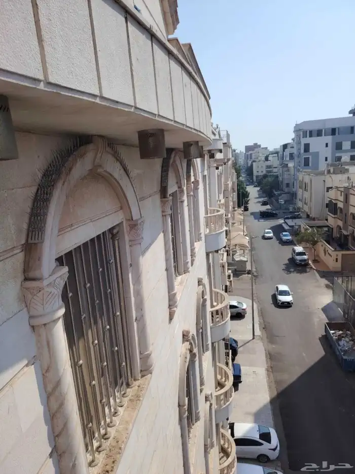 شركه تركيب شبك اشواك الحمام 5