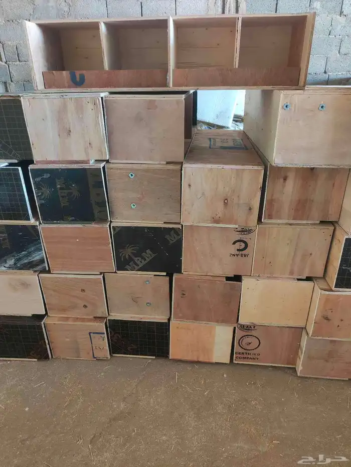 مخافق اربع عيون للحمام 1