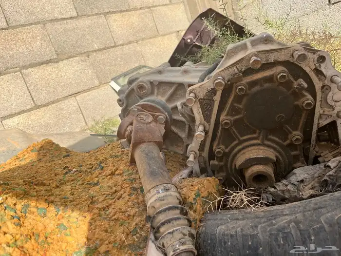 دبل ددسن مدبله2015 3