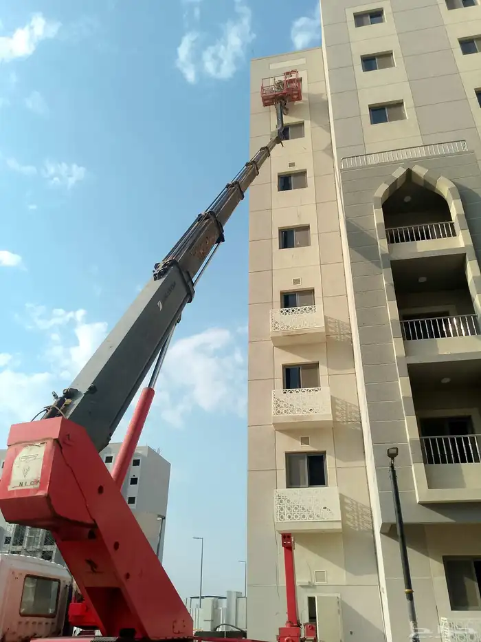 سطحه سله ورافعات شوكيه 1