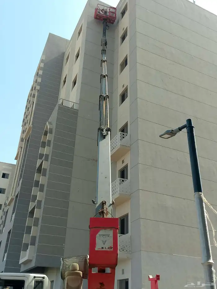 سطحه سله ورافعات شوكيه 2